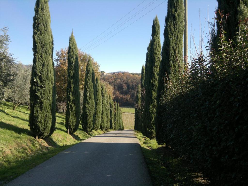 Il Casolare Di Leonardo Hotel Vinci Buitenkant foto
